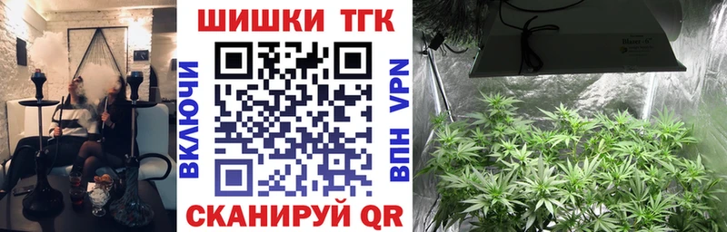 Купить закладки  Чегем  Марихуана сатива 